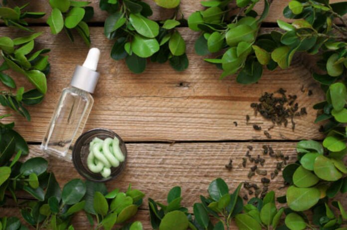 Best Ways to Combine Tea Tree Oil with Moisturizing Products